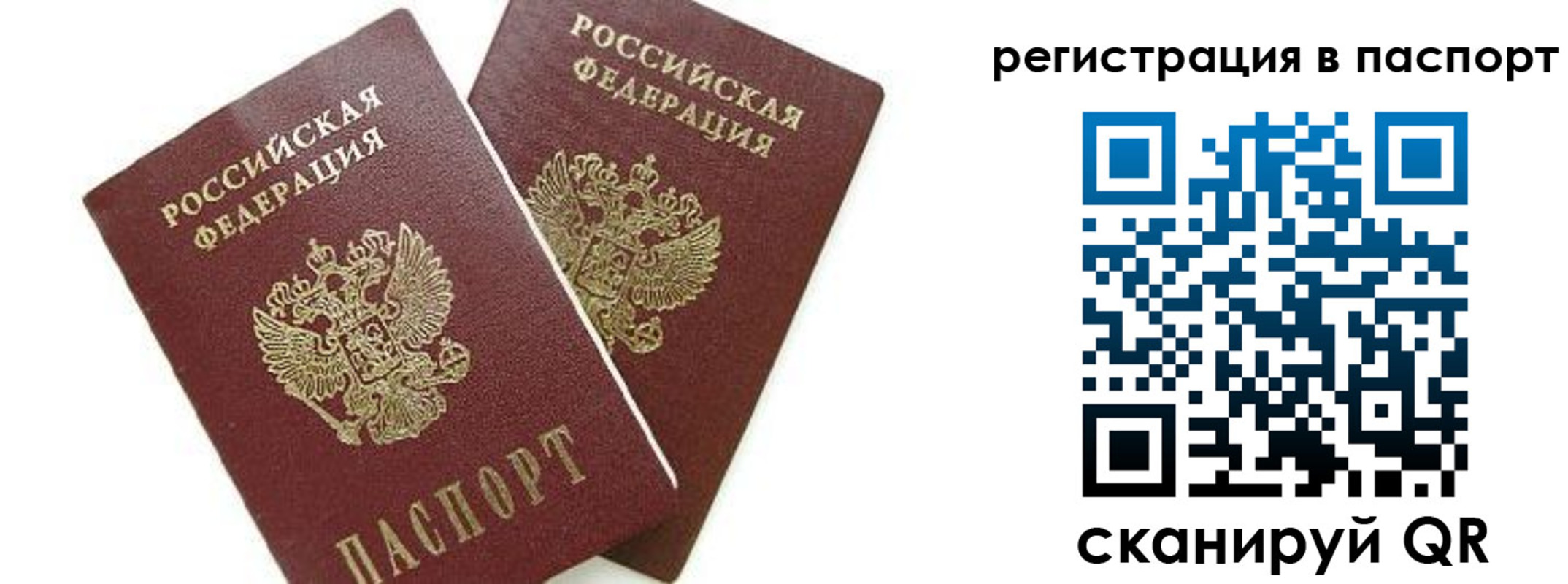 прописка в Железногорске
